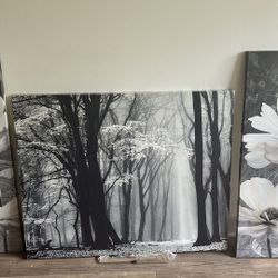 Canvas Paintings 