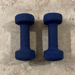 5 Pound Dumbbells 