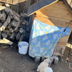 Doghouse 