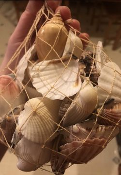 Bag of Sea Shells