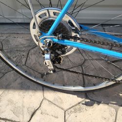 1974 Chicago Schwinn Continental 