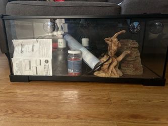 Reptile Tank