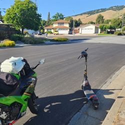 Segway P65 Scooter  *Black Friday Sale*