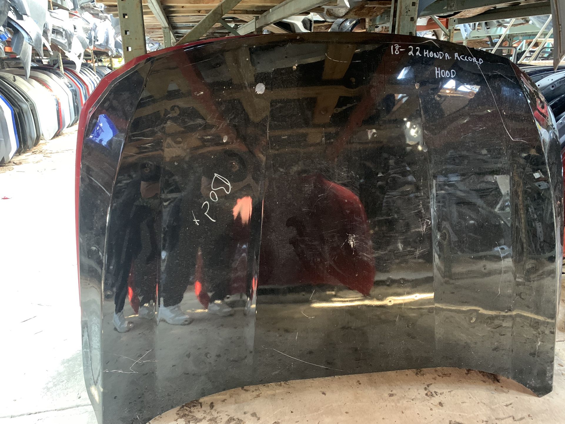 Honda Accord Hoods Different Years And Conditions OEM 