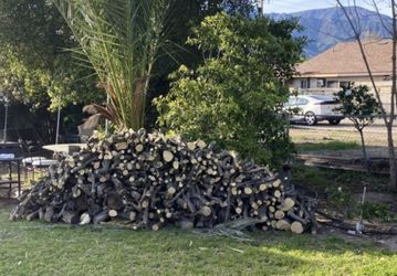 Firewood