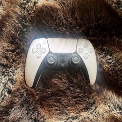 PS5 Controller