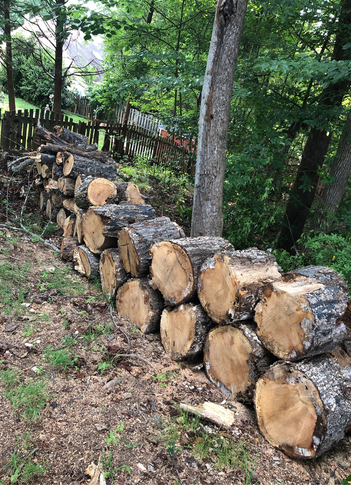 Free firewood. You pick up and load.