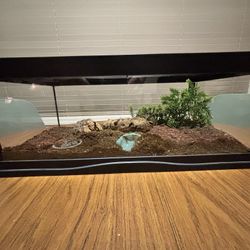 Creature Den Low Profile Terrarium 