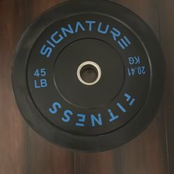 45lbs Rubber Plate