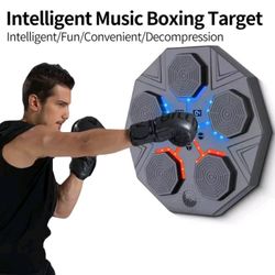 Decagon Musical Punching Target MSRP $45