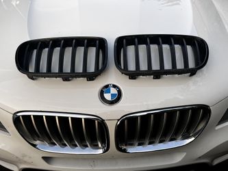 Bmw Grill