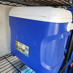 Igloo Cooler - 30 Quart Size