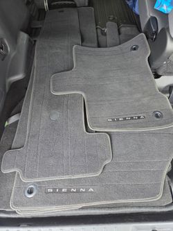 Sienna carpet mats + front door sill protector