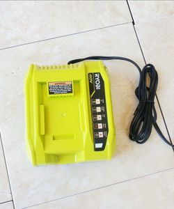 RYOBI 40V Fast Rapid Charger