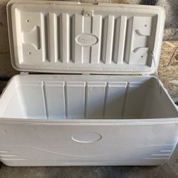 Coleman Cooler Large Size 