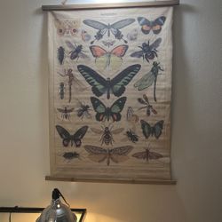 Butterfly Decor