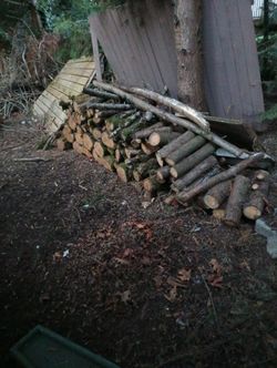 Firewood