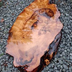 Beautiful Epoxied Old Growth Fir Burl Slab
