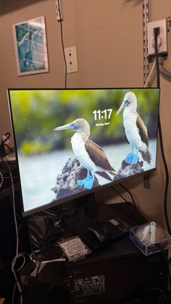 HP M24h FDH with IPS Monitor