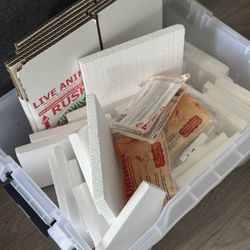 Reptile Shipping Boxes 