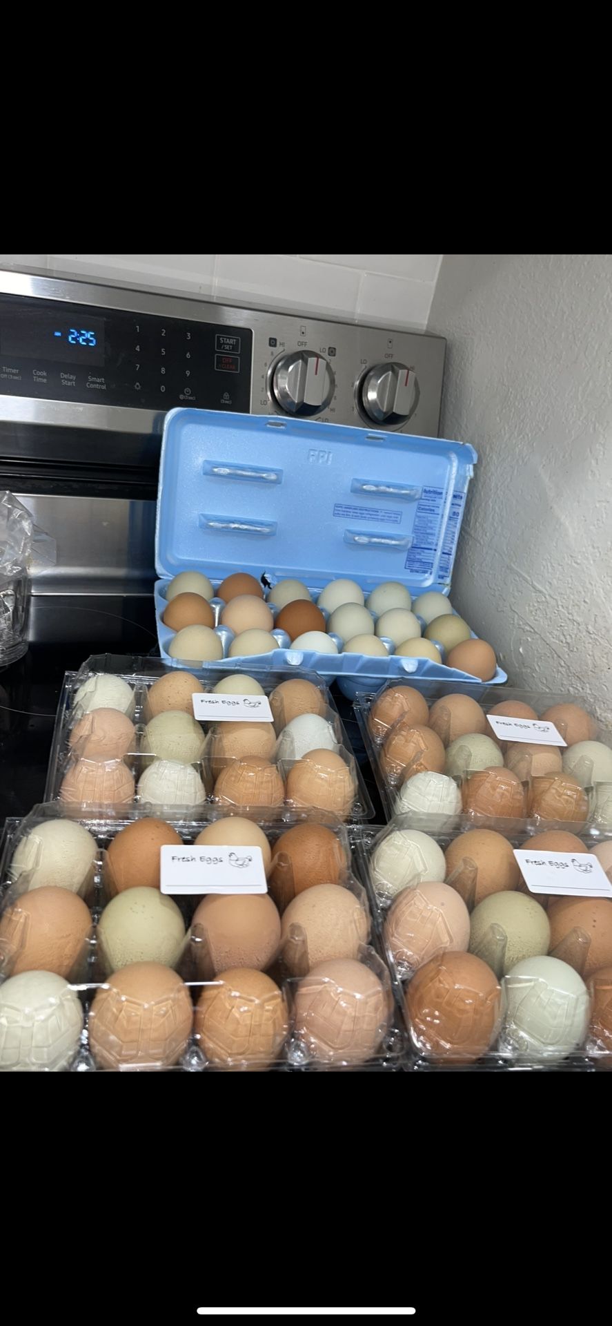 Cada 12 X $8 Contact For more Info 