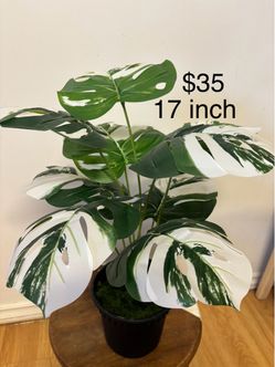 Artificial plant ( brand new )