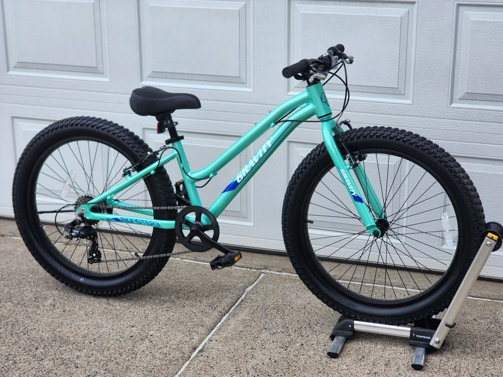 Gravity Fat Tire 24 Mountain Bike