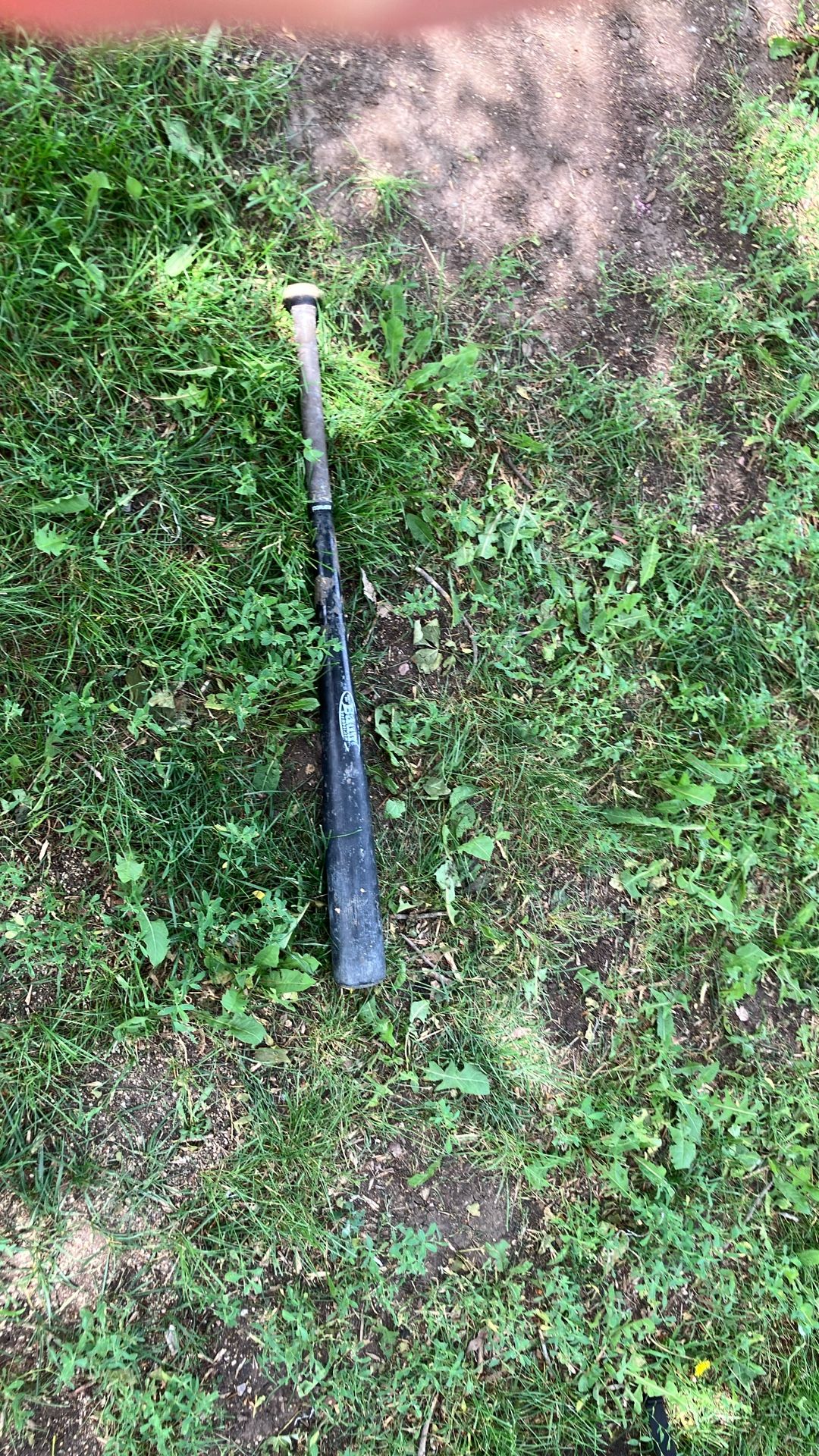Bat