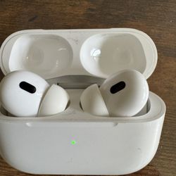 Earbuds