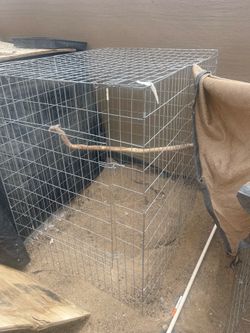 3x4 cage