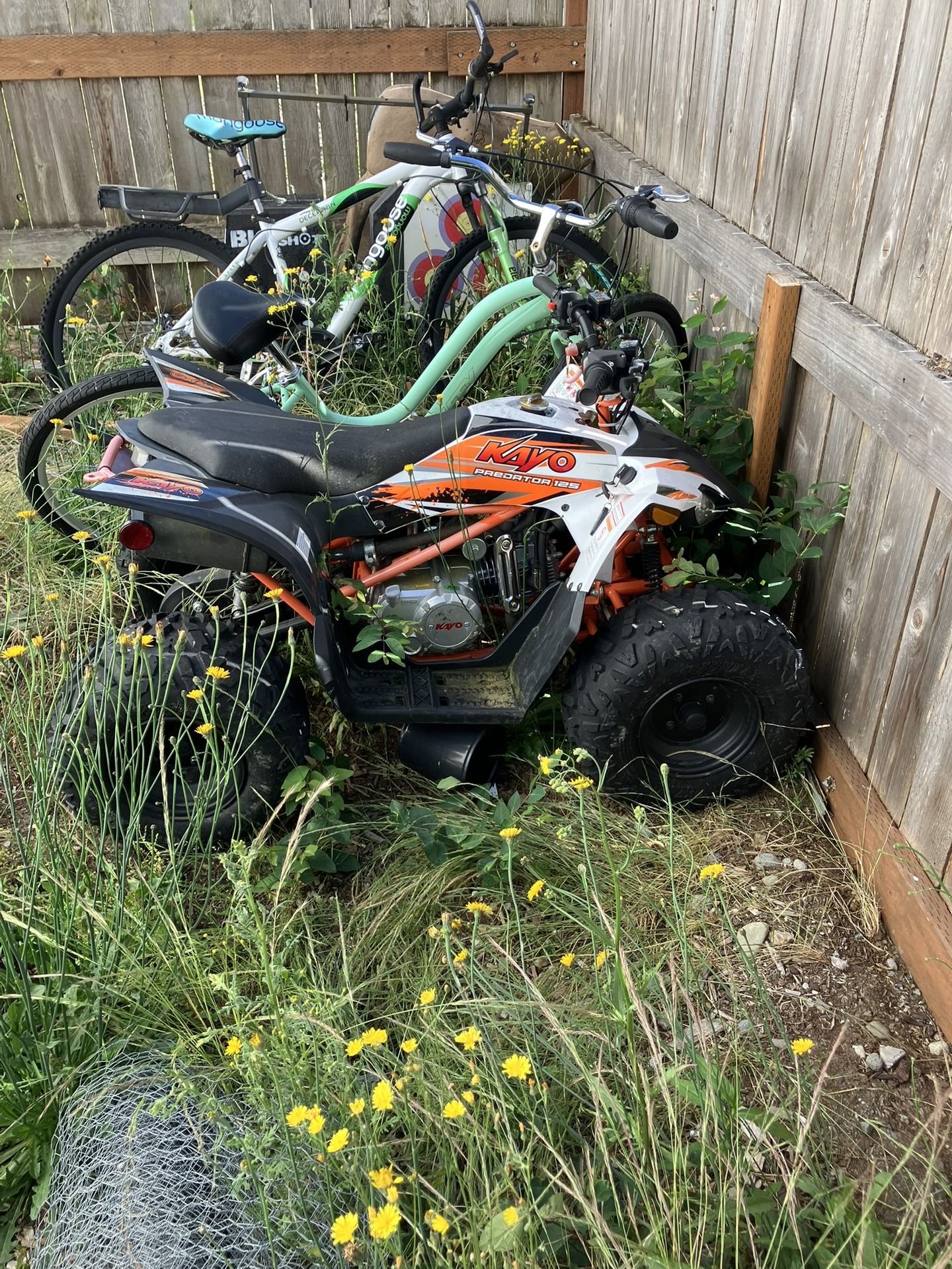 2021 Kayo Predator 125