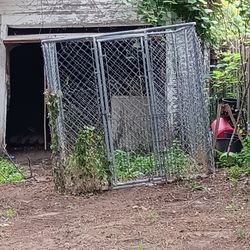 Out Door Dog Kennel