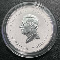 2025 year of the snake calendar CHARLES lll 2oz FINE 9999 ag silver coin