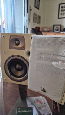 JBL Northridge Series N24AW II speaker.