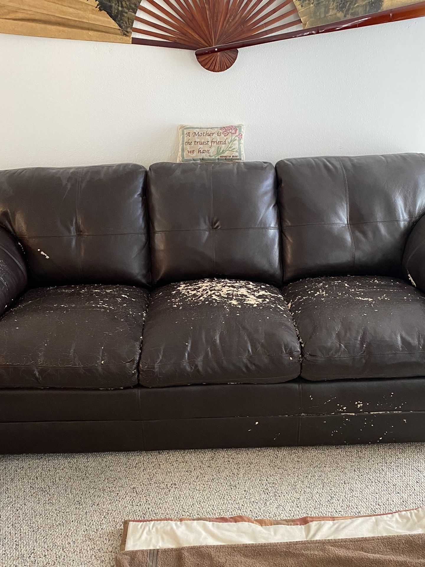 Free Couches In New Port Richey Sofa And Loveseat