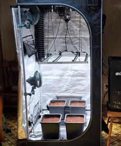 2 grow tents with lights,  filter and hydro