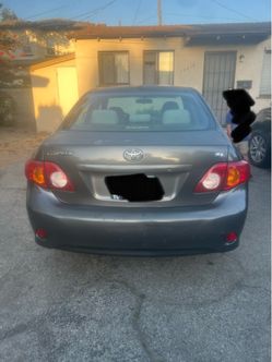 2009 Toyota Corolla
