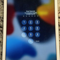 iPad Air 2
