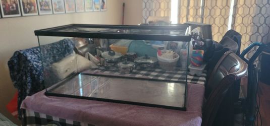 40 gallon