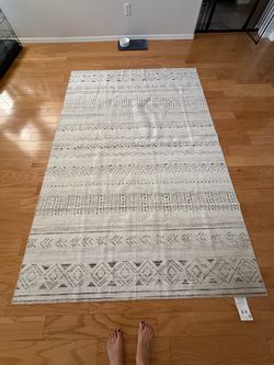 Area Rug LIKE NEW