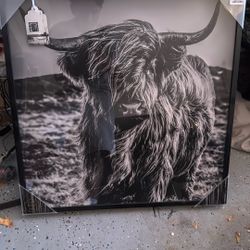 brand new yak frame