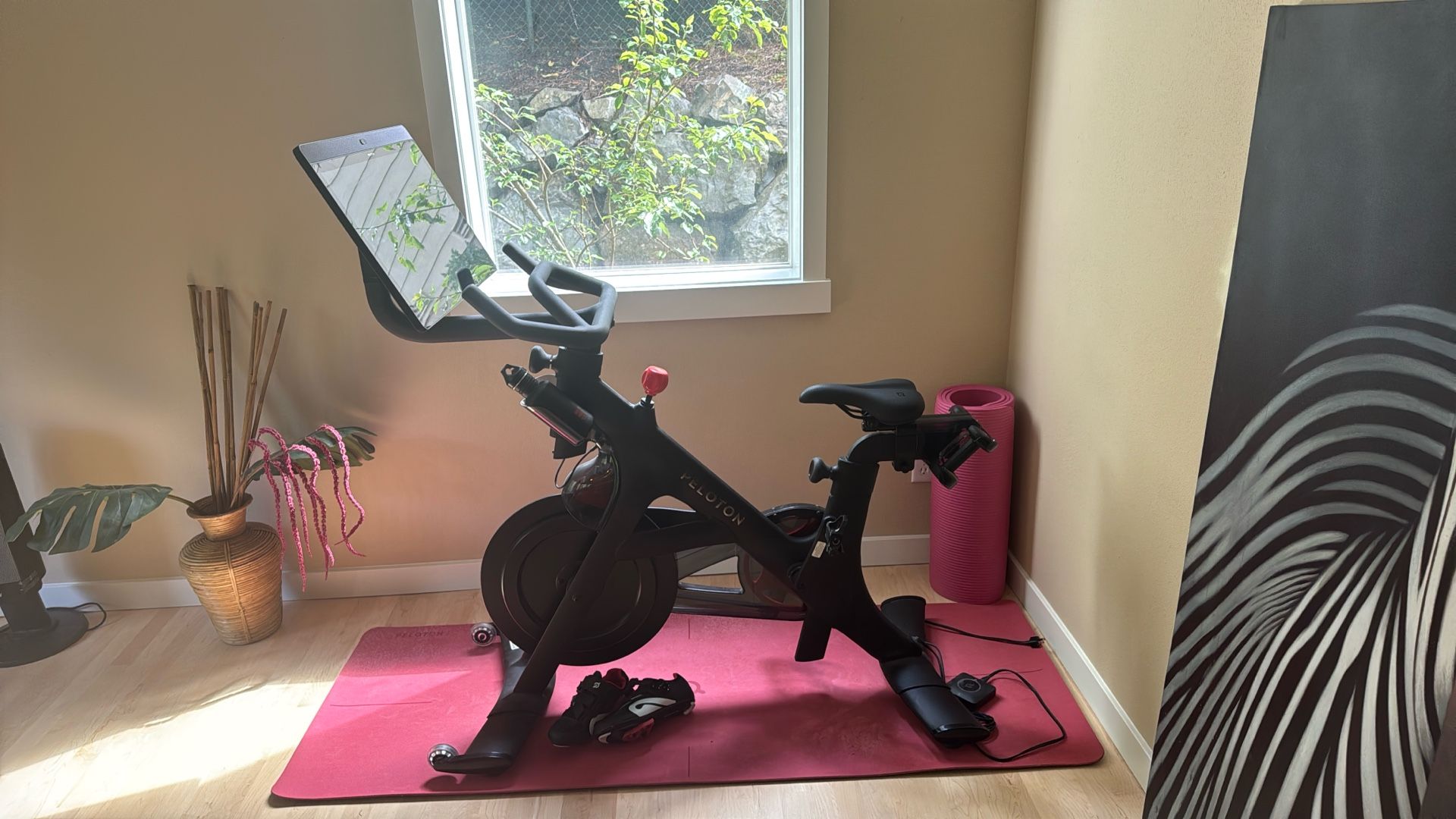 ### **🏷️ [FOR SALE] Peloton Bike+ (2021) – Like New | Fully Setup + FREE Fully Functional proform Treadmill