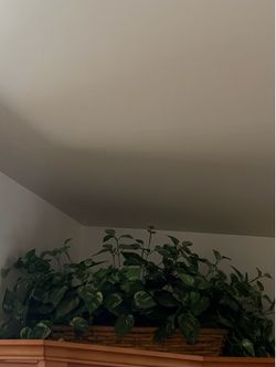 Artificial plant in a basket