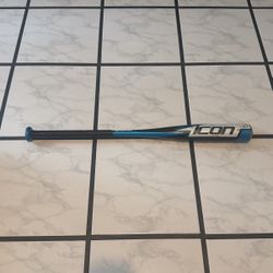 Youth Baseball Bat