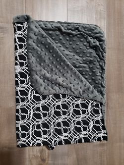 Carseat Canopy