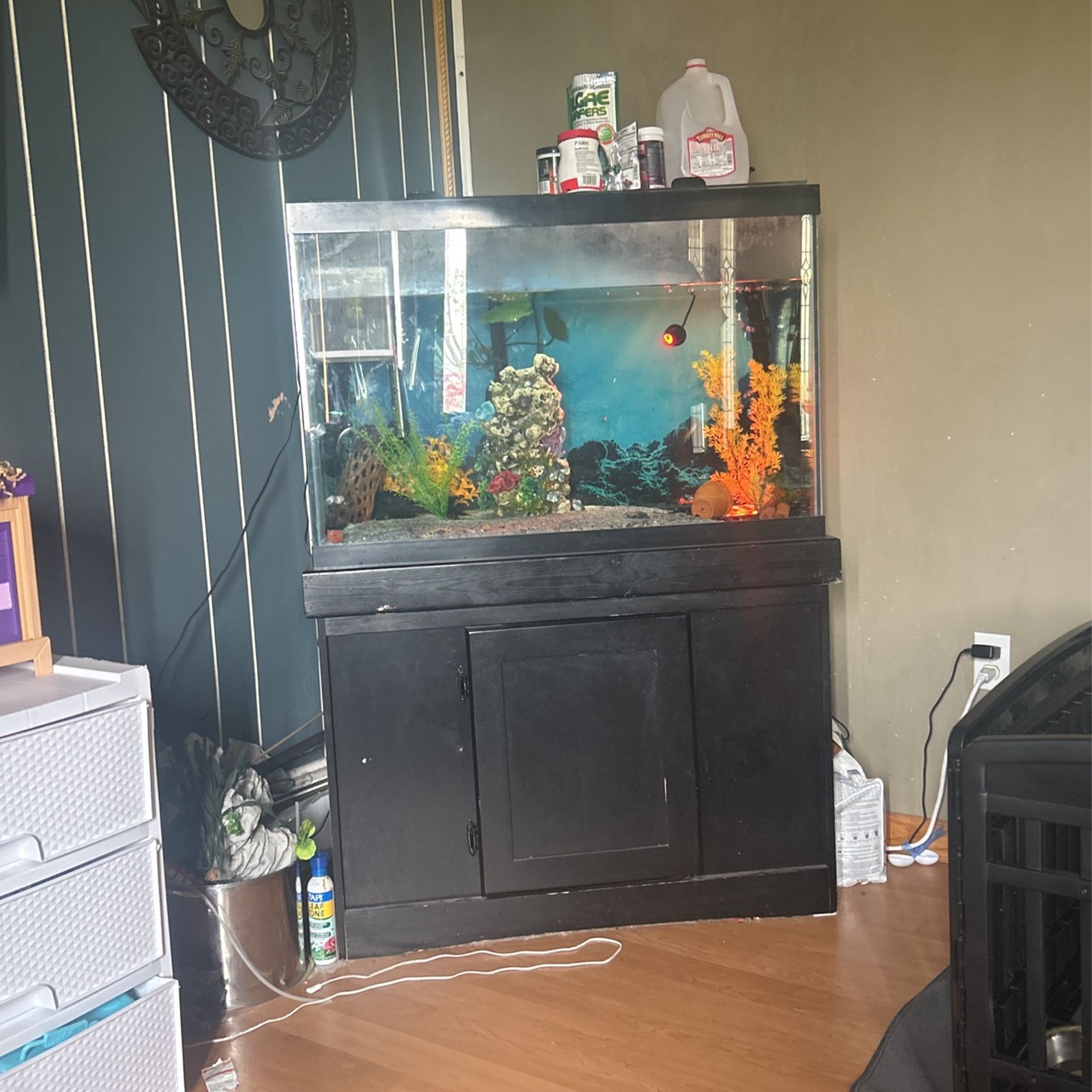 Fish Tank