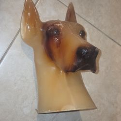 Dog Candel Luccia Great Dane German Shepard Miami Florida 