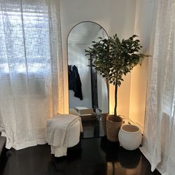 Full Length Mirror 71 X 25