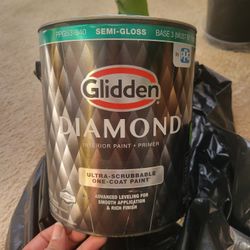 ½ Gallon Of Blue Paint