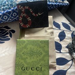 Kingsnake Gucci Wallet